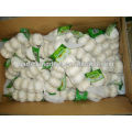 Best garlic price of 2014/Natural jinxiang garlic/Garlic price in China 2014